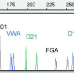 Picture of a graph of DNA