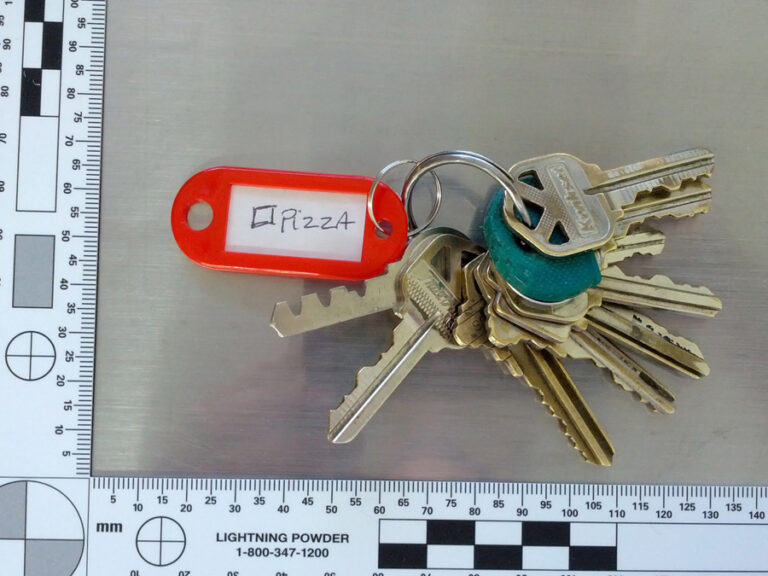 A picture of a set of keys recovered from a purse.