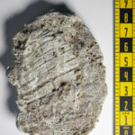 A picture of a partial cast