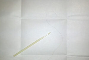 a picture of a string of hair found as evidence.