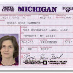 a picture of a license that belongs to Doris