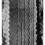 A picture of a tire tread on the road.