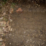 a picture of tiretracks