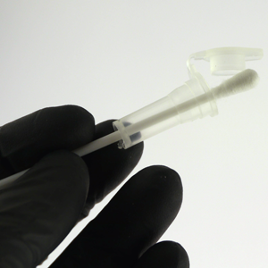 Gloved hand holding a swab